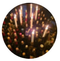rank_profile
